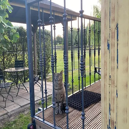In With Garden