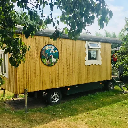 Holiday Home In Bergen Op Zoom With Garden Holiday home *