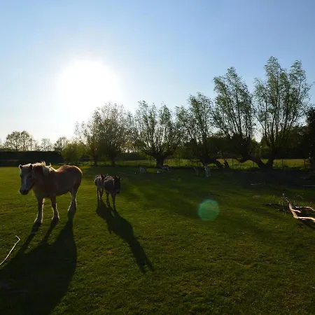 Holiday Home In Bergen Op Zoom With Garden Holiday home